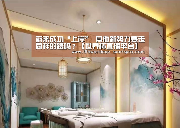 蔚来成功“上岸” 其他新势力要走同样的路吗?【世界杯直播平台】(图2) 世界杯登录入口