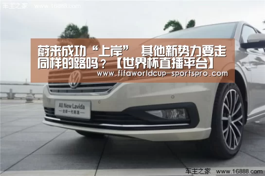 蔚来成功“上岸” 其他新势力要走同样的路吗?【世界杯直播平台】(图4) 世界杯电竞