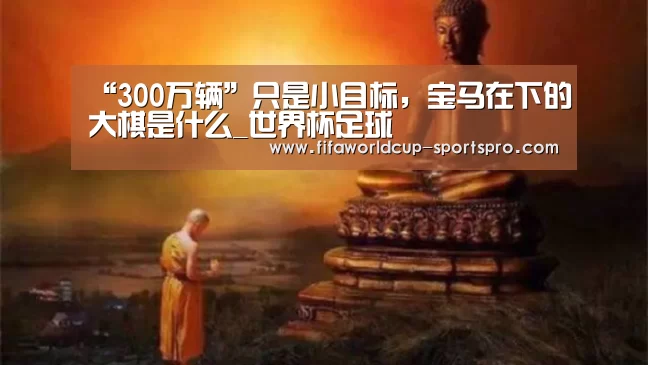 “300万辆”只是小目标,宝马在下的大棋是什么_世界杯足球(图2) 世界杯登录入口