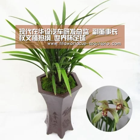 现代在华设汽车研发总监 副董事长权文植担